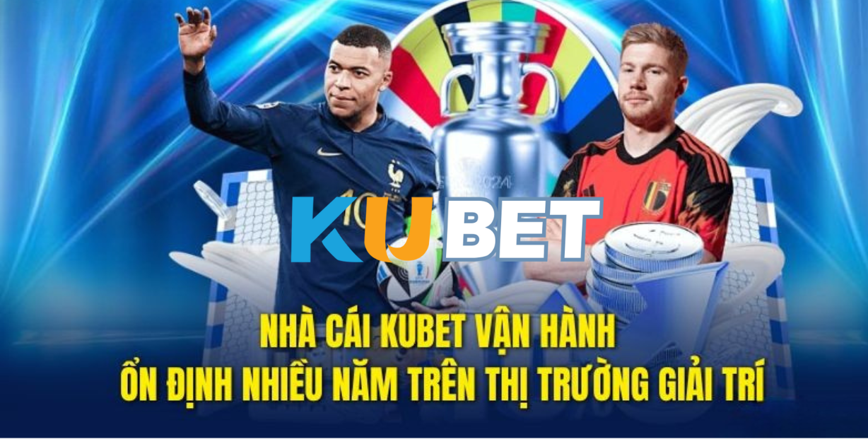 ý do ZJ3979.NET được xem là điểm đến hàng đầu năm 2025